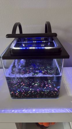 🐠 Beautiful Aquarium for Sale! 🐠
