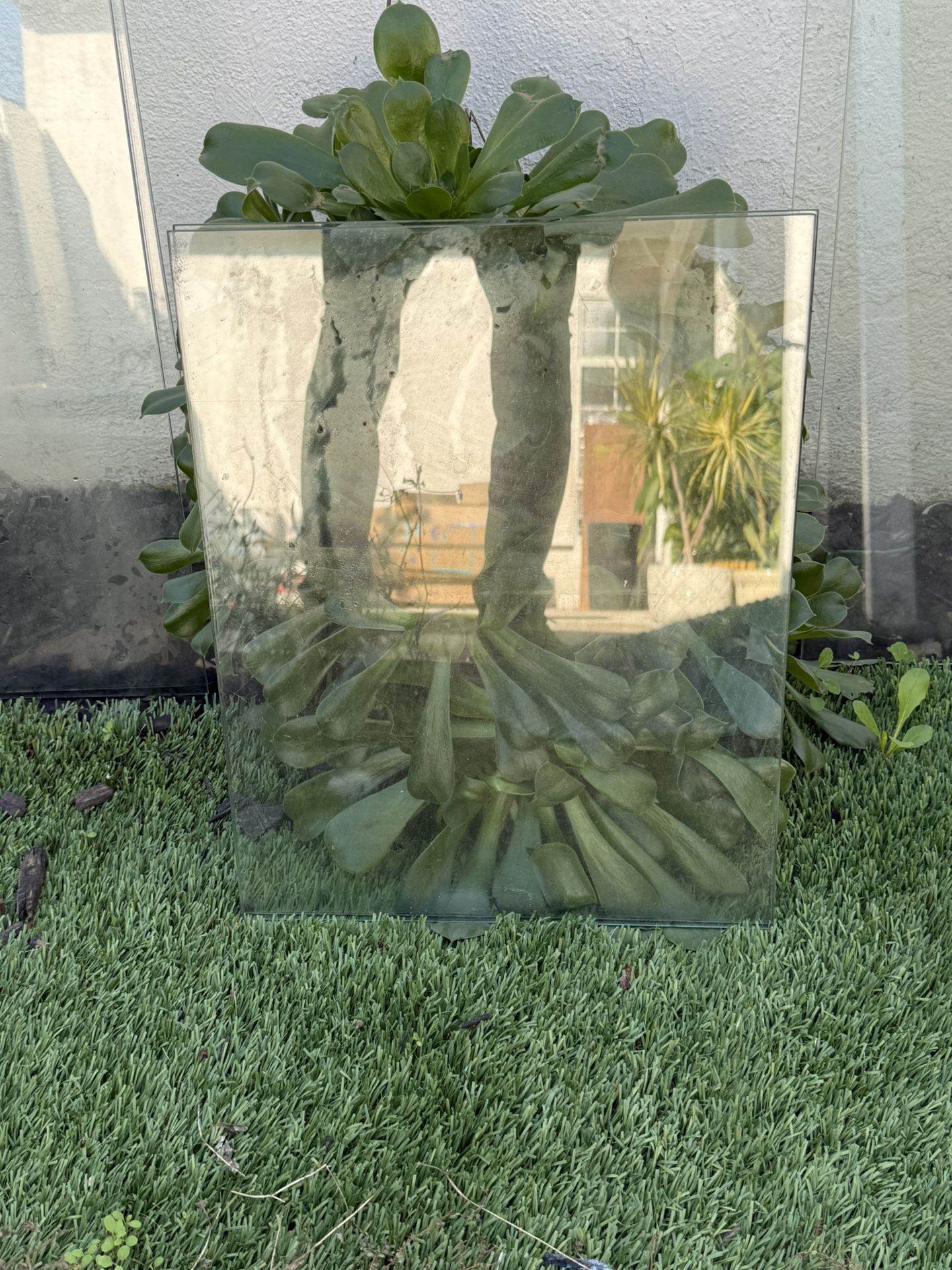 Tempered Glass Panels – Clean, Clear – $100 for All