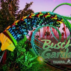 Busch Gardens Tampa