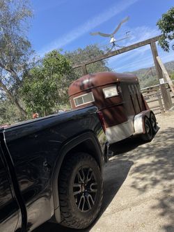 Transport Service: Livestock