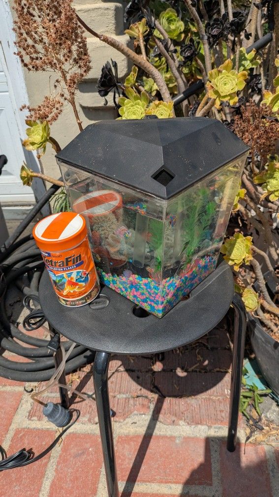 Fish Tank