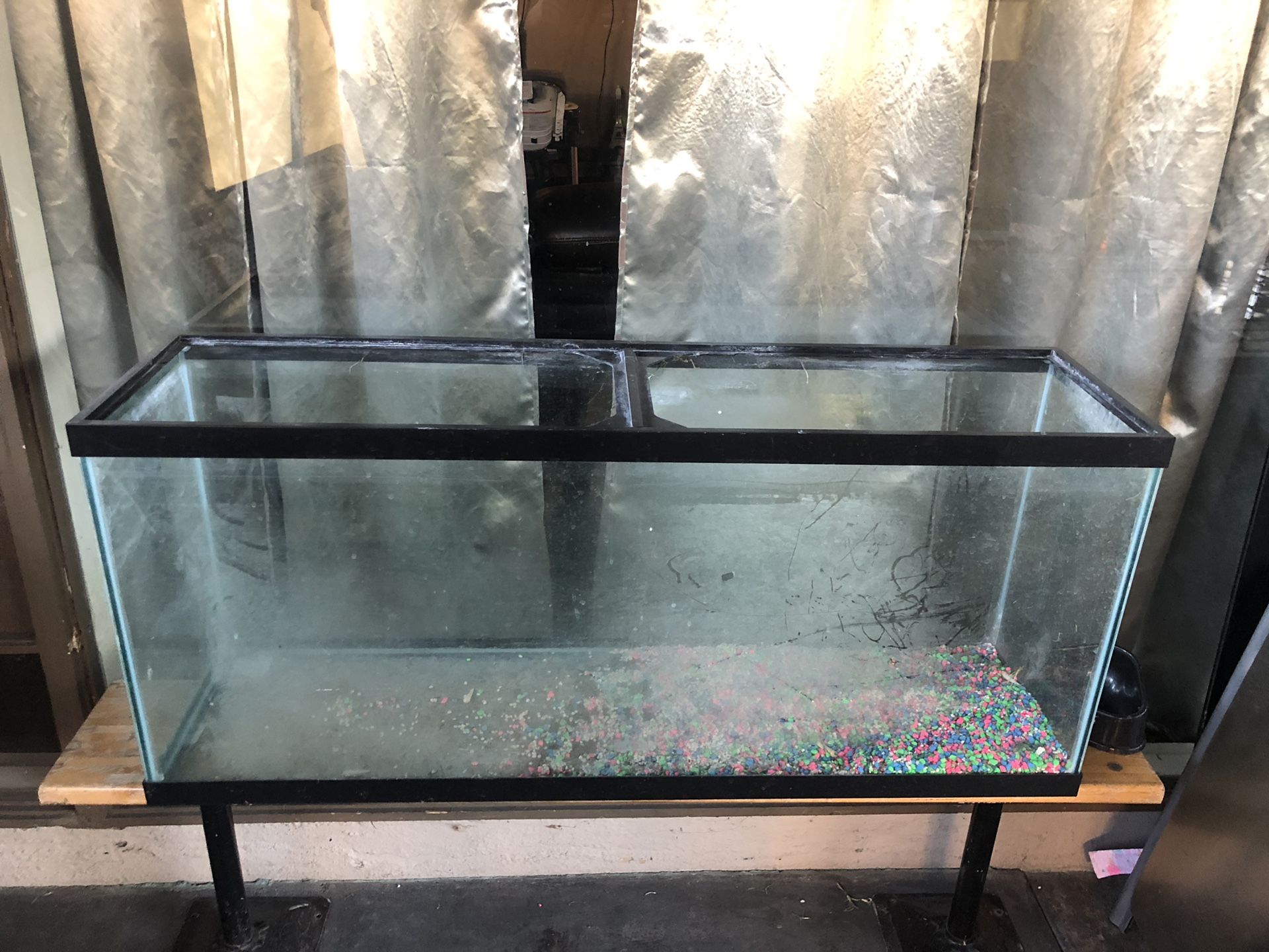 60 gallon fish tank