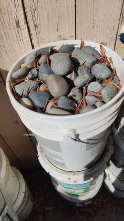 River rocks