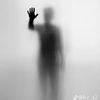 Dayan Torres