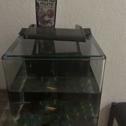Small Fish Tank 