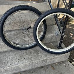 Schwinn 24” Skiptooth 