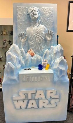 Star Wars 1 of 1 Display Comic-con