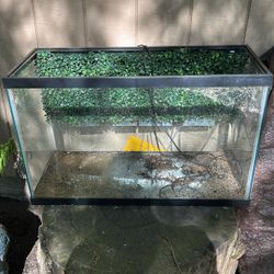 Medium Size Fish Tank