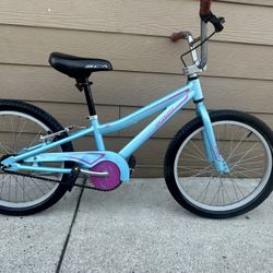 Aluminum Bike Spesialised Sz 20
