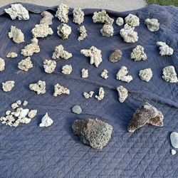 Dried out, Fiji rock and some holy rock. Over 100lbs of rock for $50.00 OBO. Glenn Heights 75154