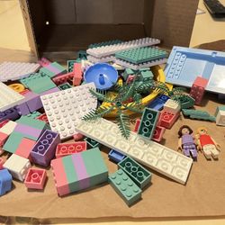Minifigure Friends 