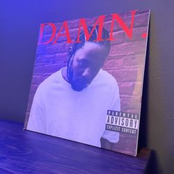 damn vinyl