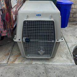 Large Dog Kennel Brand New 