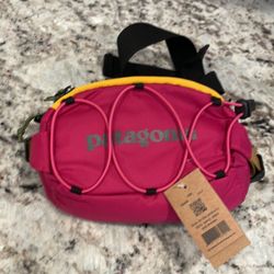Patagonia Fanny Pack