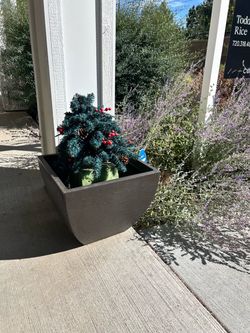 Short  brown planters