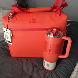 Stanley cooler bag and matching cup