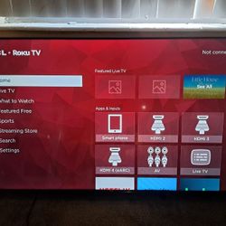 Roku TV With Mount