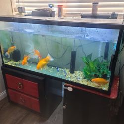 50 G Fish Tank + Stand