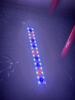 Fish tank light