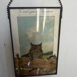 Antique cat postcard  framed