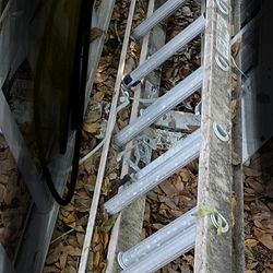 32 ft extension t ladder
