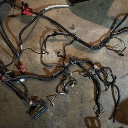Ls 6.0 Wiring Harness