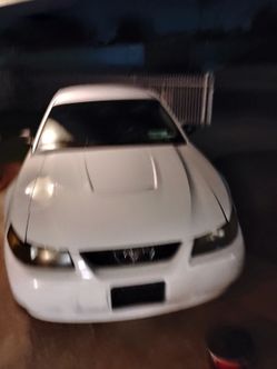 Ford Mustang Coupe White 40th anniversary