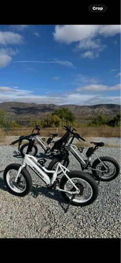 E-Bike Pedego Pro/Plus
