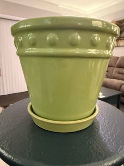 Amazing Plant Pots
