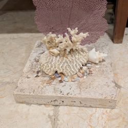 Lovely lavender sea fan with mixed corals on 8" x 8" marble base