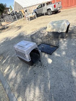 Dog Crate
