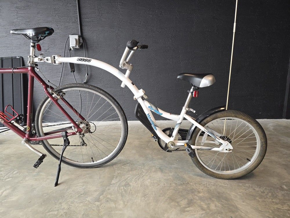 Co-Pilot Bike Trailer WeeRide