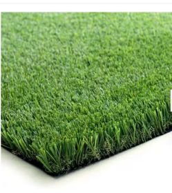 Turf.  New