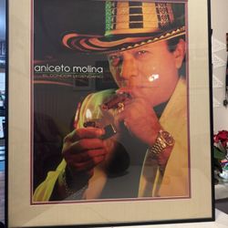 Original Poster aniceto Molina 