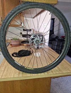 29” Rim & Tire