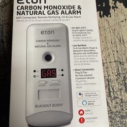Natural gas alarm/carbon monoxide alarm