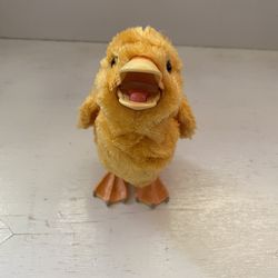 ForReal Friends, Yellow Duck