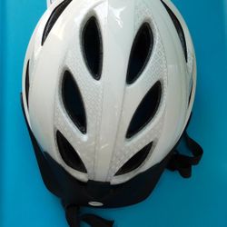 Schwinn Bicycle Safety Helmet NWOT 