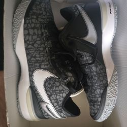 Nike LeBron NXXT Gen Low Top Wolf Grey Size 11.5M