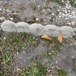 Scallop Concrete Edger