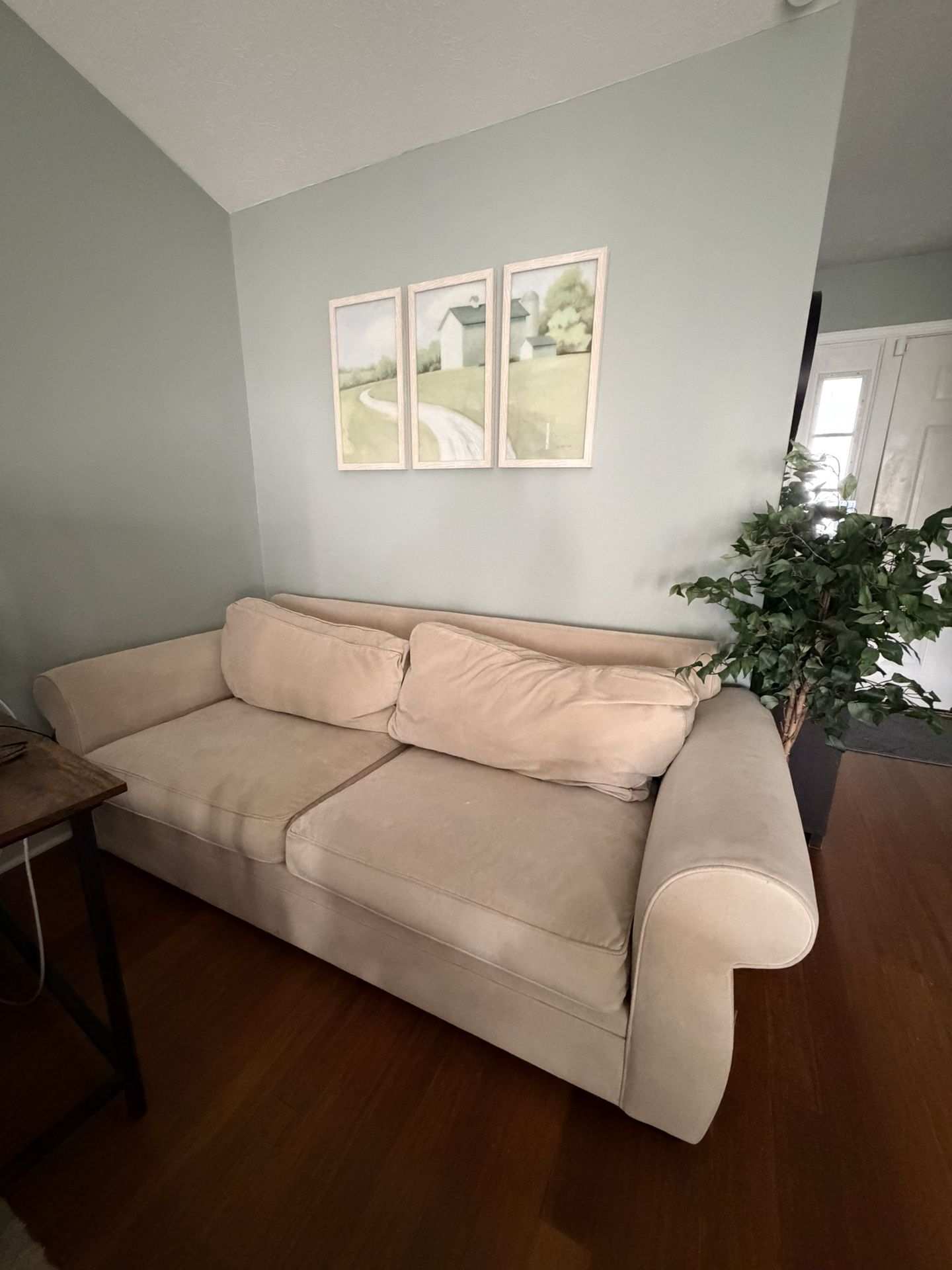 Sofa With Pullout Bed