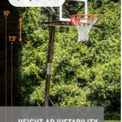 Adjustable Basketball Hoop