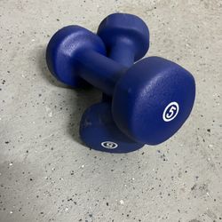 Pair of 5 Lb Weights 