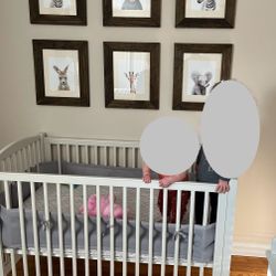 Crib- Pottery Barn Emerson Convertible Crib (like New!)