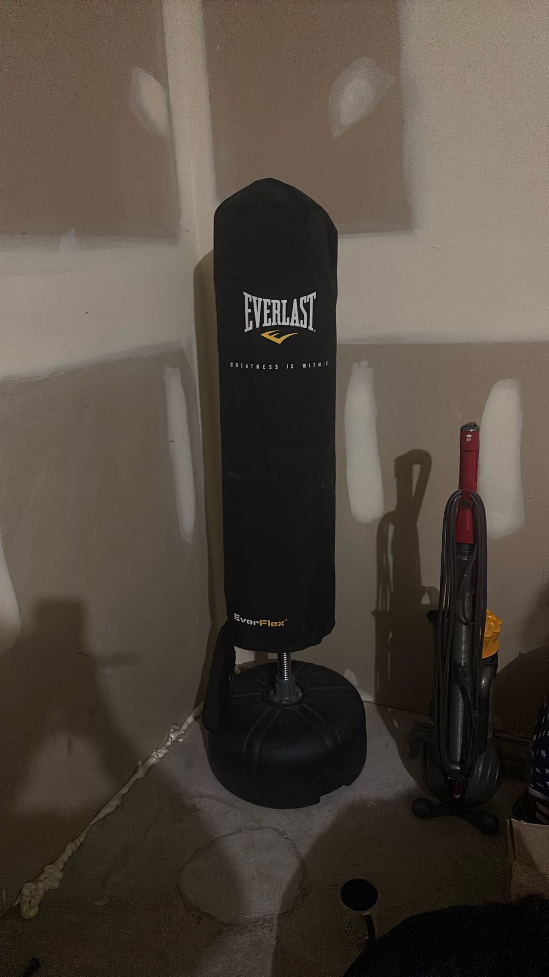 Everlast Punching Bag