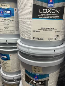 Pintura y material para pintores