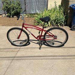 Trek Cruiser Bike