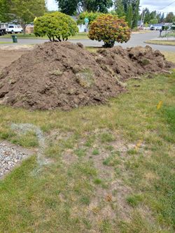 Free Dirt