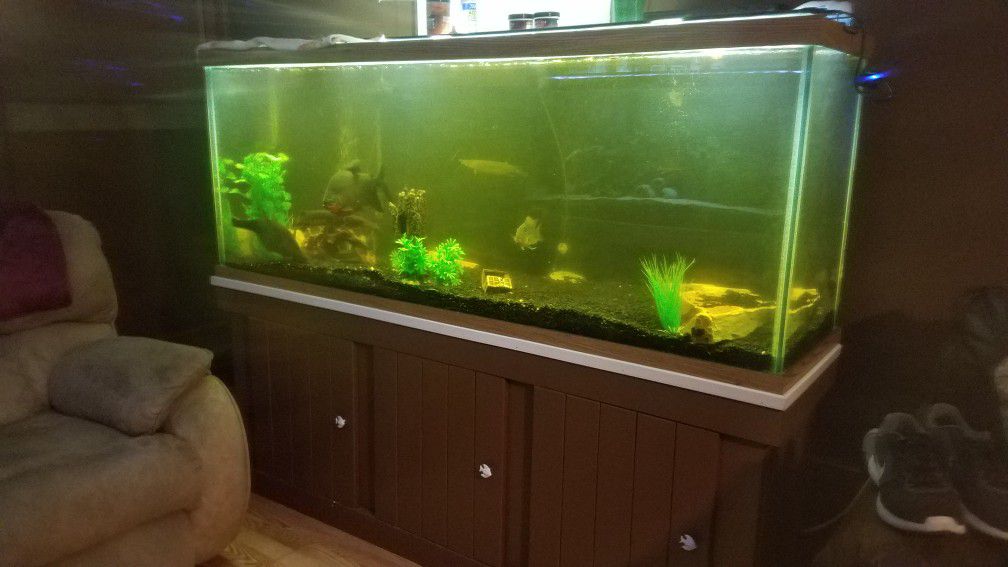 150 gallon aquarium