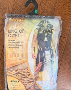 Spirit King of Egypt Adult Costume Large